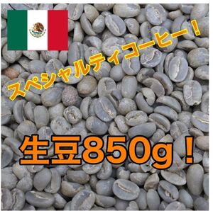 コーヒー豆 生豆 焙煎用 メキシコ クステペック農園 生豆850グラム!スペシャルティコーヒー 自家焙煎 珈琲 天然 生豆