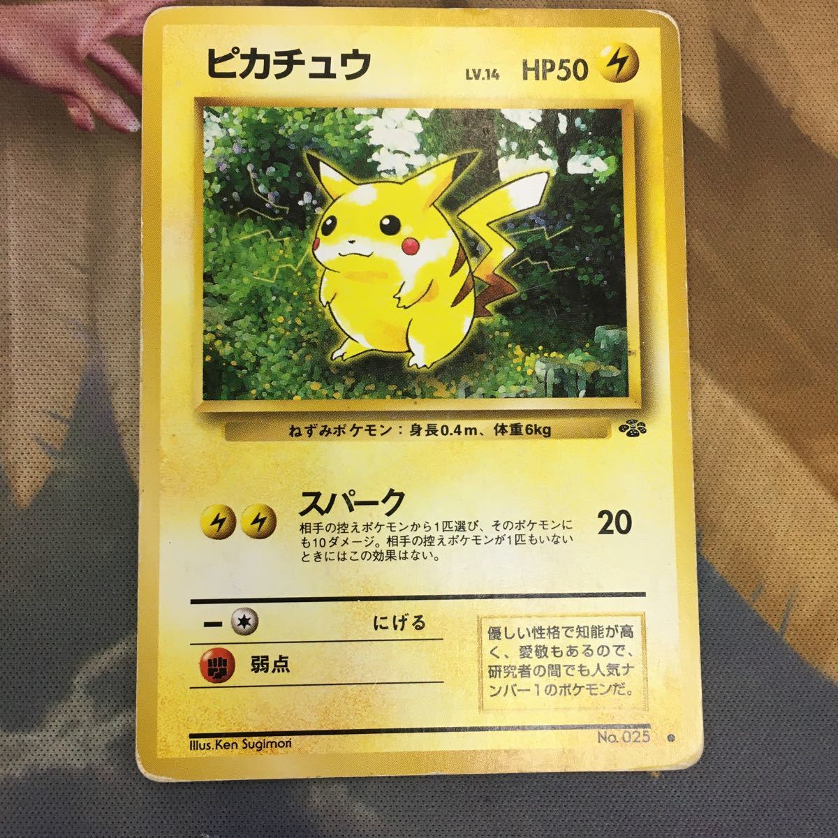SALE/56%OFF】 むむむ様専用 ポケモン6 巻カード未開封 お誕生日