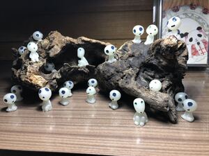 ヤフオク 盆栽 もののけ姫 ま行 の落札相場 落札価格 ヤフオク 盆栽 もののけ姫 ま行 の落札相場 落札価格