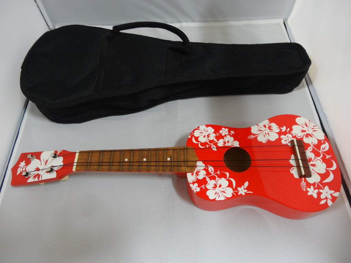 36％割引トップ Baboushka Guitars Model : Telemaster Red Flower Bigsby (バボウシュカ  テレマスター ビグスビー) 本体 楽器、器材 ホビー、カルチャー-WWW.BALDERS-HEINZE.DE