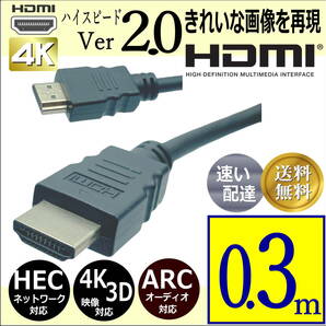 △HDMIケーブル 30cm ハイスピード Ver2.0 3D映像 ネットワーク 4K8K対応 プレミアム高速・高品質 2HDMI-03【送料無料】△