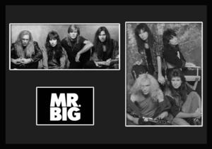 8 типов! Mr.Big/Mr. Big/Rock/Rock Band Group/Certificate Frame/BW/Monochrome/Display (8-3W)