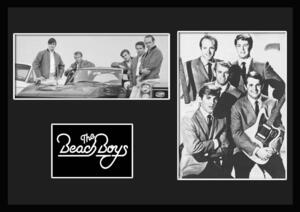 10種類!The Beach Boys/ザ・ビーチ・ボーイズ/ROCK/ロックバンドグループ/証明書付きフレーム/BW/モノクロ/ディスプレイ (3-3W)