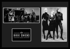 10種類!Dixie Chicks/ディクシー・チックス/ROCK/ロックバンドグループ/証明書付きフレーム/BW/モノクロ/ディスプレイ(7-3W)