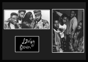 8種類!Living Colour/リヴィング・カラー/ROCK/ロックバンドグループ/証明書付きフレーム/BW/モノクロ/ディスプレイ(5-3W)