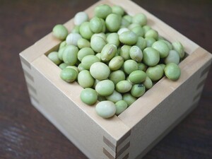 【おたまや】秘伝豆 大粒（1kg）青大豆