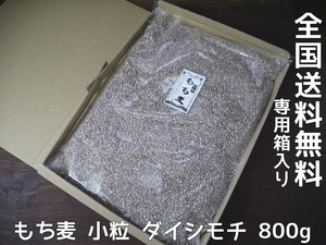 【おたまや】もち麦 小粒 ダイシモチ 紫（800g）ネコポス発送 送料無料
