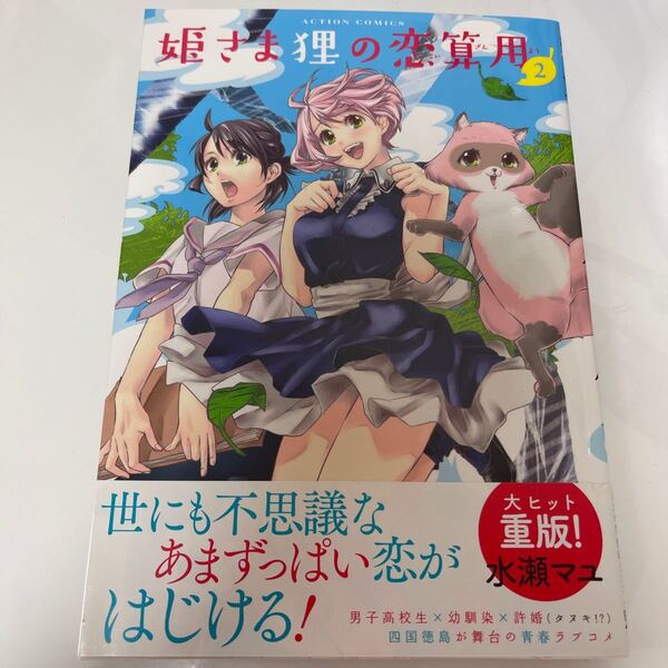 姫さま狸の恋算用 2/水瀬マユ