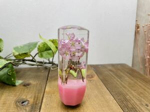 水中花 シフトノブ　桜お花見　ピンク