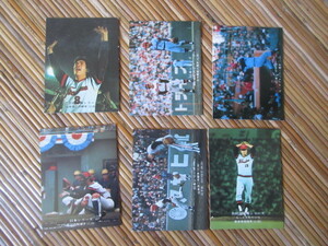６枚　カルビープロ野球カード　広島東洋カープ　