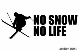 NO SNOW NO LIFE sticker ski 1 (S size ) Freestyle Mogul half pipe ski SKI seal 