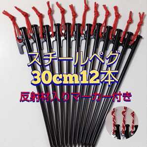 スチールペグ 30センチ 12本 マーカー付 アウトドア キャンプ 30cm