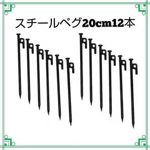 スチールペグ 20センチ 12本 ソロキャンプ アウトドア 20cm