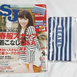 ストリートジャック2012年6月号　付録 BEAMSマルチポーチ