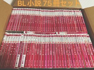 BL小説 ルビー文庫 75冊セット まとめ売り