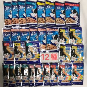 フィリックス 12種ソースお試しセット 50g×36袋より30g多い量です 成猫用 ゼリー仕立て 我慢できない隠し味