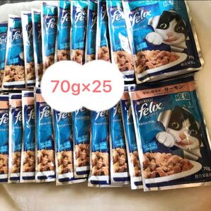 フィリックス レトルトパウチ 送料無料 成猫用 ツナ サーモン