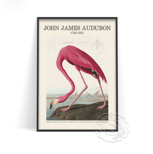 G1751 ジョン・ジェームズ・オーデュボン John james audubon キャンバスアートポスター 50×70cm 海外製 枠なし A