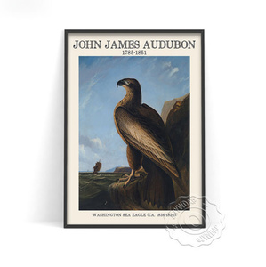 G1757 ジョン・ジェームズ・オーデュボン John james audubon キャンバスアートポスター 50×70cm 海外製 枠なし G