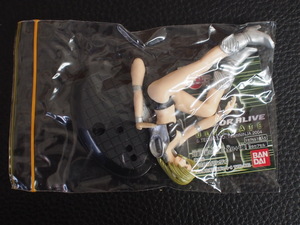  gashapon Gacha Gacha figure HGIF ( stock ) Bandai Dead or Alive DEAD OR ALIVEtinaTINA control No.12567