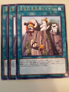 遊戯王 緊急救急救命レスキュー レア 三枚