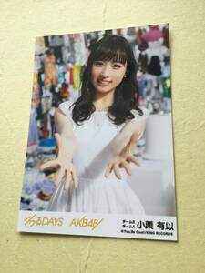 ジワるDAYS AKB48 劇場盤封入写真　チーム8／チームA 小栗 有以 他にも出品中 説明文必読