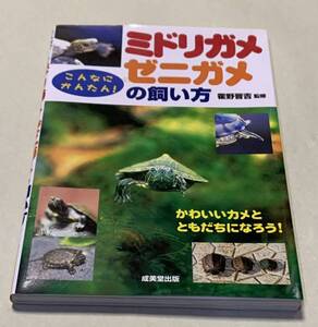 ヤフオク ミドリガメ の落札相場 落札価格 ヤフオク ミドリガメ の落札相場 落札価格