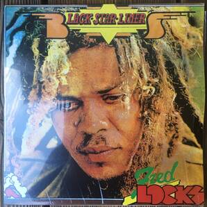 ★送料込み!試聴!全曲試聴確認済み!1976!名作!True Rastaman!【Fred Locks - Black Star Liner】LP!VP Records US Reissue
