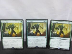 ＭＴＧ　下生えの勇者　日本語　