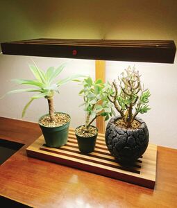 植物LEDライト