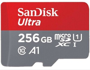 SanDisk microSD 256GB