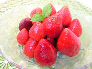 2【Max】ストロベリー へた取り スムージーや朝食に！ 冷凍 500g 1円 苺 イチゴ