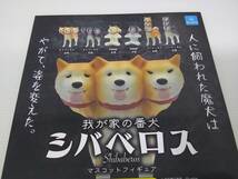 我が家の番犬 シバベロス マスコットフィギュア【阿修羅/赤柴】 単品 ガチャ クオリア 柴犬_画像3