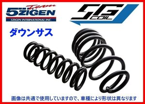 5次元 5Gコイル ダウンサス(1台分) ステップワゴン RG2 4WD H17/5～H21/10 5GHD023