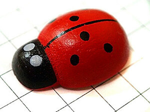  pin z* wooden. ladybug one pcs 