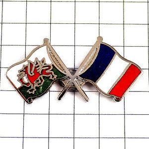 ピンバッジ・ウェールズ旗フランス国旗ドラゴン竜龍◆フランス限定ピンズ◆レアなヴィンテージものピンバッチ