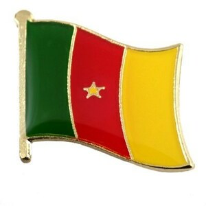 ピンバッジ◆カメルーン 国旗デラックス薄型キャッチ付き スター 星 ピンズ CAMEROON FLAG ピンバッチ タイタック