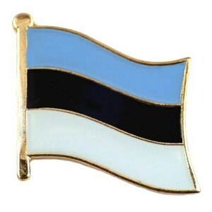 ピンバッジ◆エストニア 国旗デラックス薄型キャッチ付き 青黒白 ピンズ ESTONIA FLAG ピンバッチ タイタック