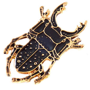  pin z* stag beetle insect 