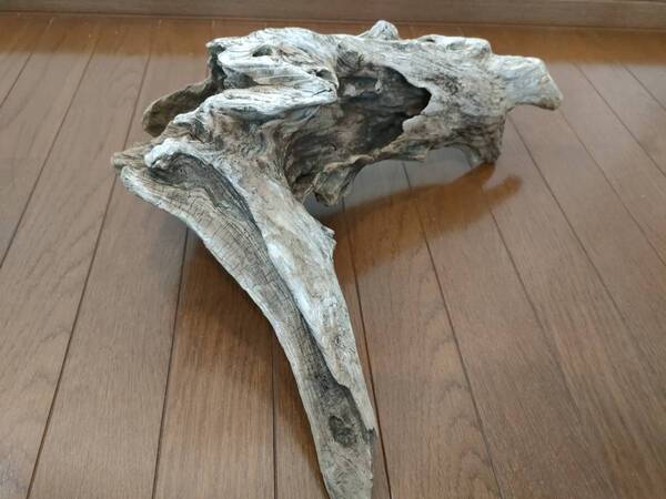 ☆天然流木 水槽 1点物 アクアリウム オブジェ アート 48×36×20cm 大和川 爬虫類 トカゲ ヘビ インテリア 魚 めだか 隠れ家 大型