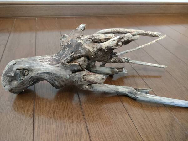 ☆天然流木 水槽 1点物 アクアリウム オブジェ アート 34×17×11.5cm 大和川 爬虫類 とかげ ヘビ インテリア 魚 めだか 隠れ家