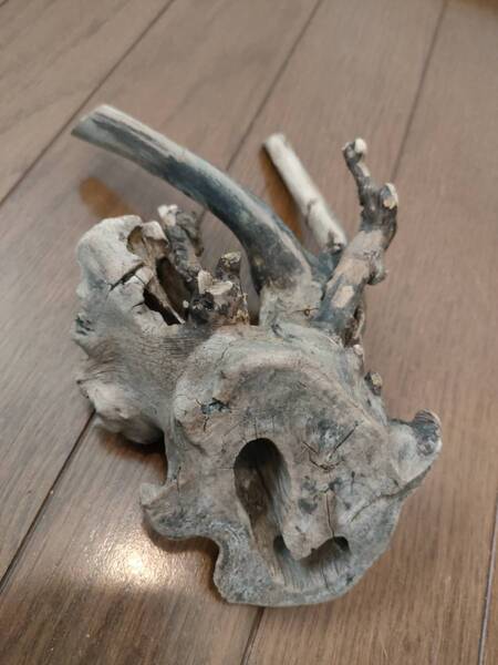 ☆天然流木 水槽 1点物 アクアリウム オブジェ アート 20×11×7cm 大和川 爬虫類 とかげ ヘビ インテリア 魚 めだか 隠れ家