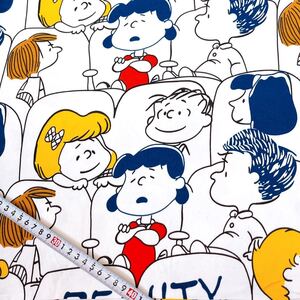 Tシャツニット fr1f 170×55cm ニット生地 Bow_matl 布 ハンドメイド