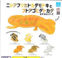 即決》ニシアフリカトカゲモドキとフトアゴヒゲトカゲ おやすみシリーズ【全６種フルコンプセット】 送料140円～ 新品未開封 _画像1