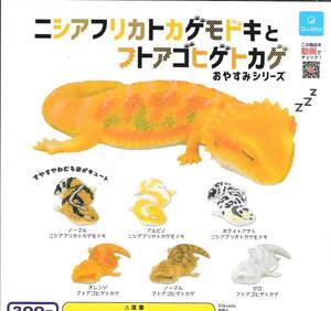 即決》ニシアフリカトカゲモドキとフトアゴヒゲトカゲ おやすみシリーズ【全６種フルコンプセット】 送料140円～ 新品未開封 