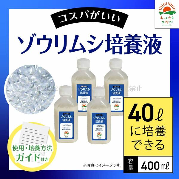 【ゾウリムシ培養液　400ml　40L培養分　送料無料】メダカ めだか 金魚 ミジンコ　ゾウリムシ　クロレラ　 針子　PSB ゾウリムシ培養に