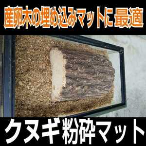 クワガタの産卵木の埋め込みマットに抜群！クヌギ朽木粉砕マット☆クリーム色でケース内が明るくなります！天然クヌギ材の良い香りがします