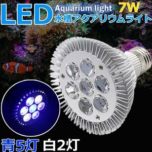 7W 青5 白2灯 水槽照明 アクアリウムライト 水草 植物育成 海水 LEDライト スポットライト