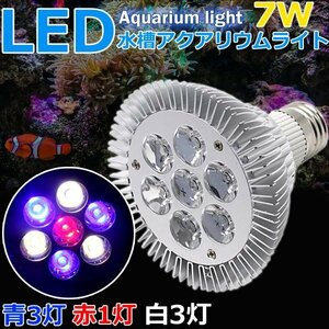 7W 青3 赤1 白3灯 水槽照明 アクアリウムライト 水草 植物育成 海水 LEDライト スポットライト