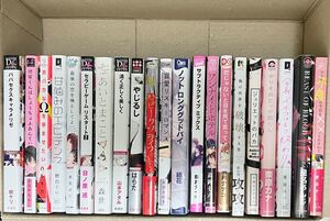 商業BL漫画 まとめ売り 17冊 特典付きあり 1